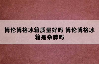 博伦博格冰箱质量好吗 博伦博格冰箱是杂牌吗